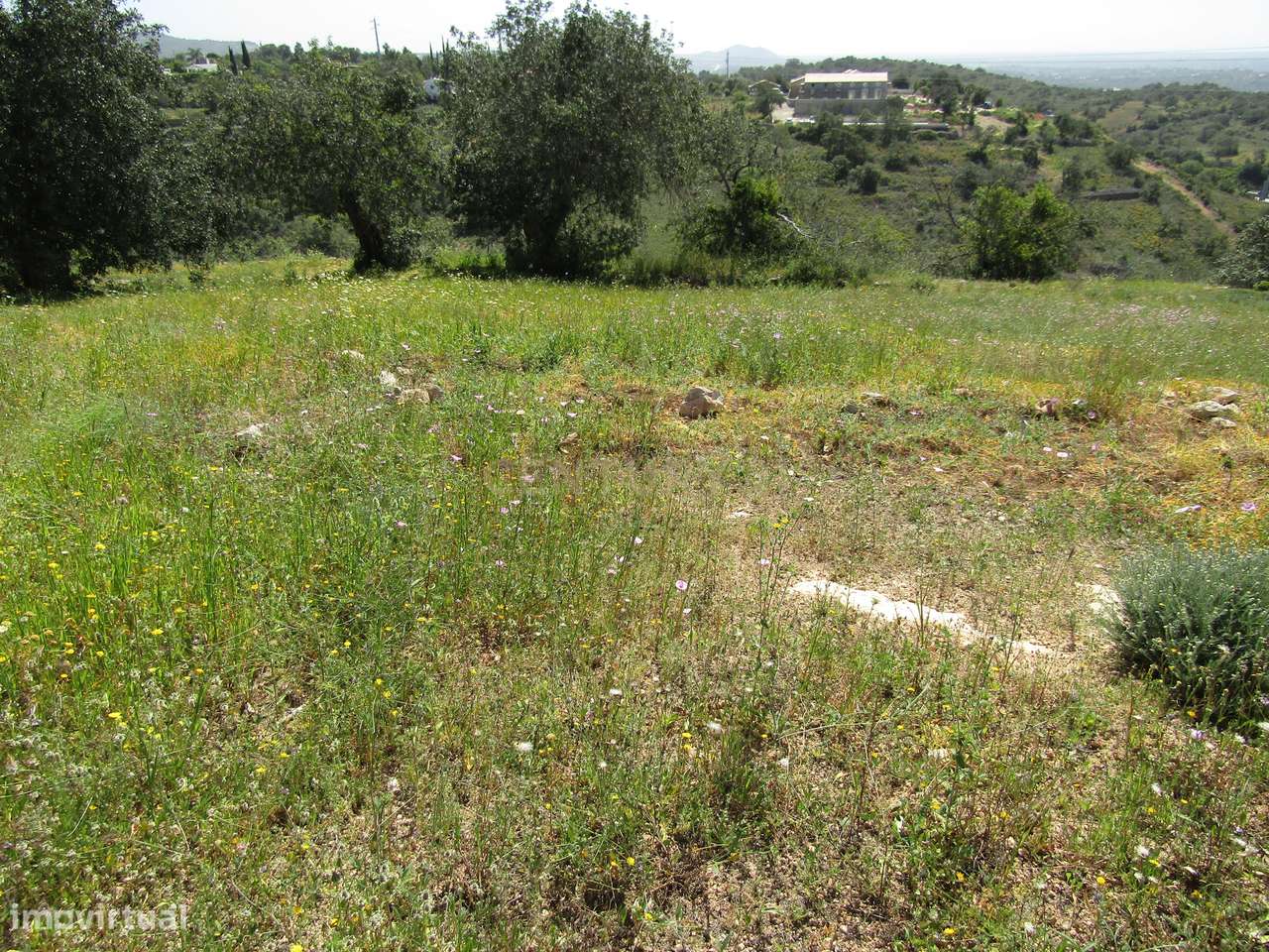 Terreno Rústico - Grande imagem: 2/5