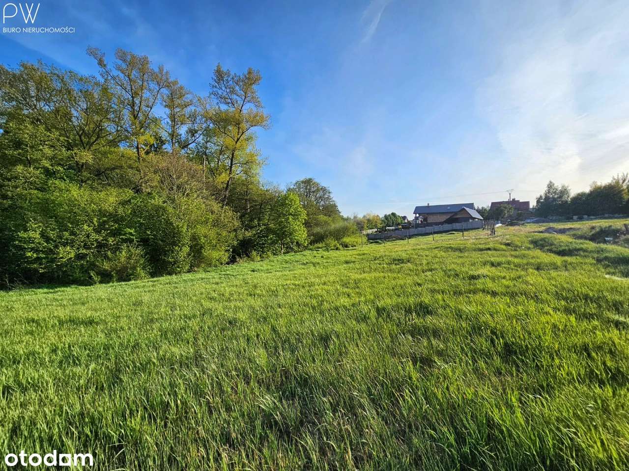 Działka pod lasem z rzeczką - Pełny obrazek: 5/10