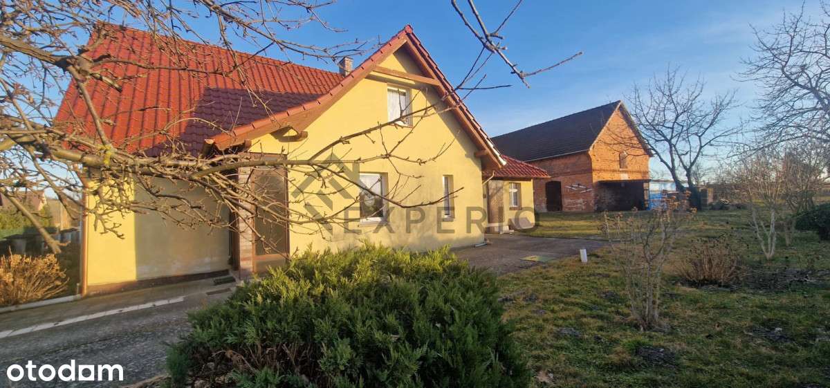 Dom Dolina Baryczy/ nowy dach/duża działka/ Milicz - Pełny obrazek: 4/20