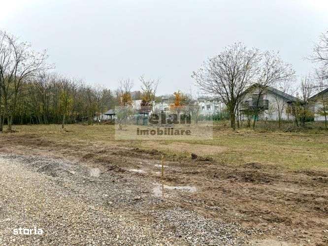 Snagov Ciofliceni - Teren 716 mp, d 30 m, gaz, curent, asfalt, padure-2