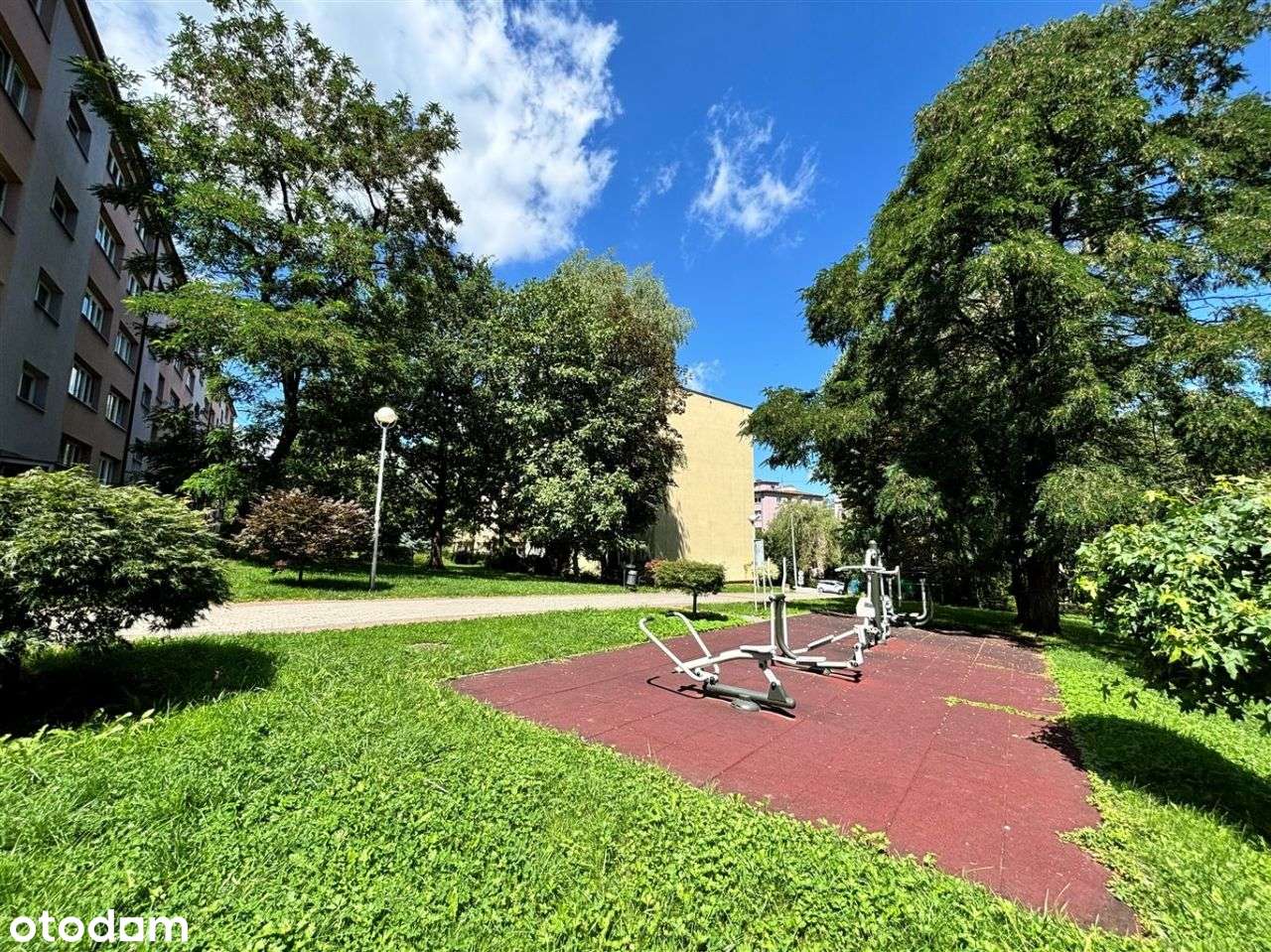 Parter z możliwościami-4