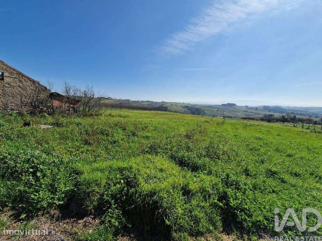 Quinta T3 em Carvalhal de 104,00 m2 - Grande imagem: 4/22