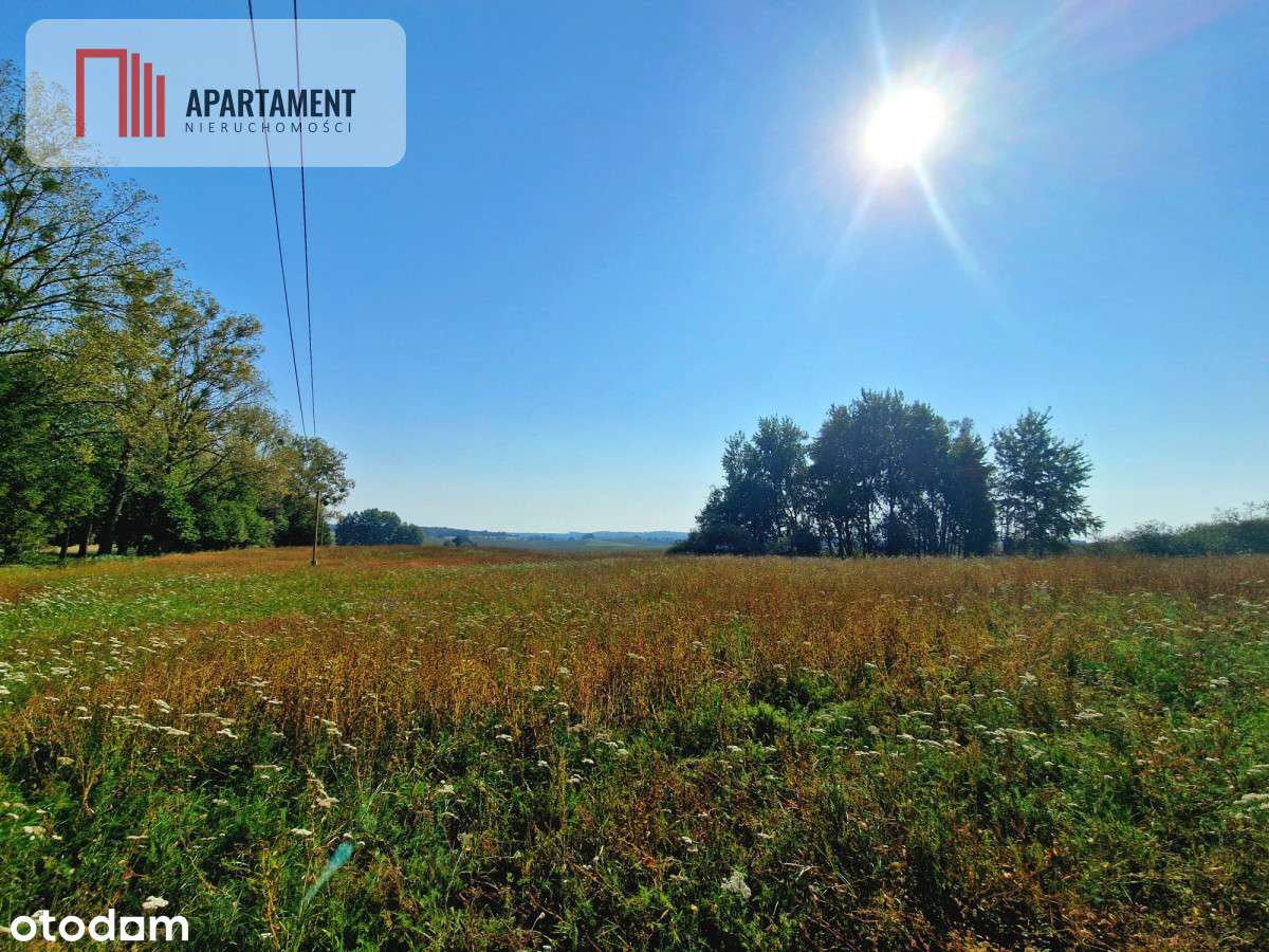 Tylko u Nas! 110 ha w jednym kawałku! Nowa cena! - Pełny obrazek: 4/16