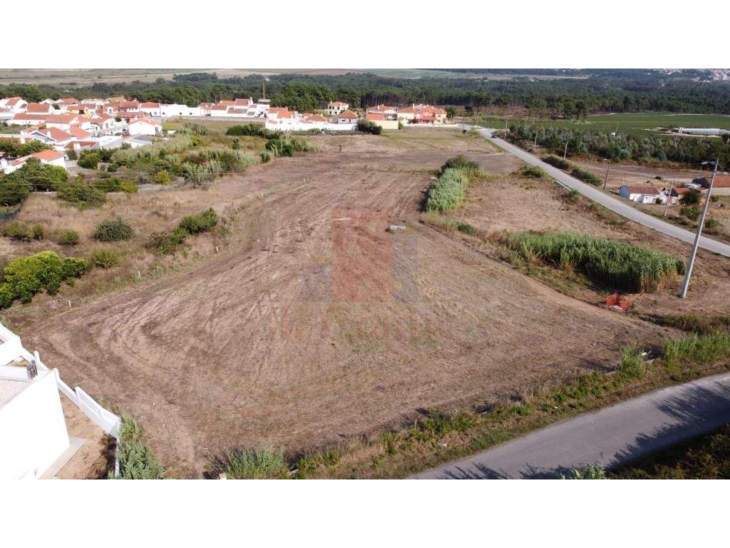 Terreno com viabilidade de construção em salir do Porto - Grande imagem: 3/10