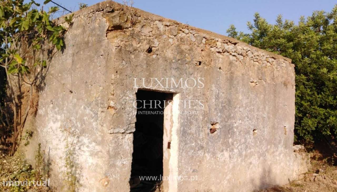 Quinta com pomar e ruína, Luz de Tavira, Algarve - Grande imagem: 5/14