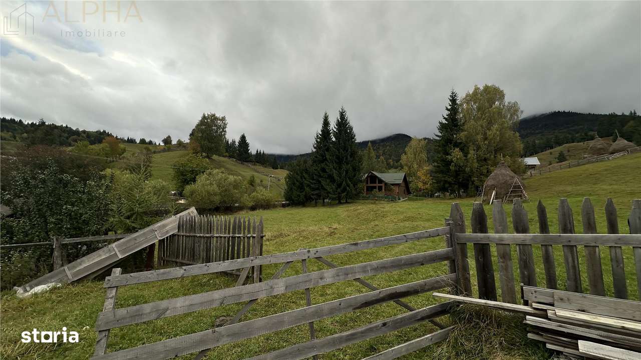 Teren Intravilan de 16.000 mp, Utilitati si Acte in Regula - Imagine principală: 5/6