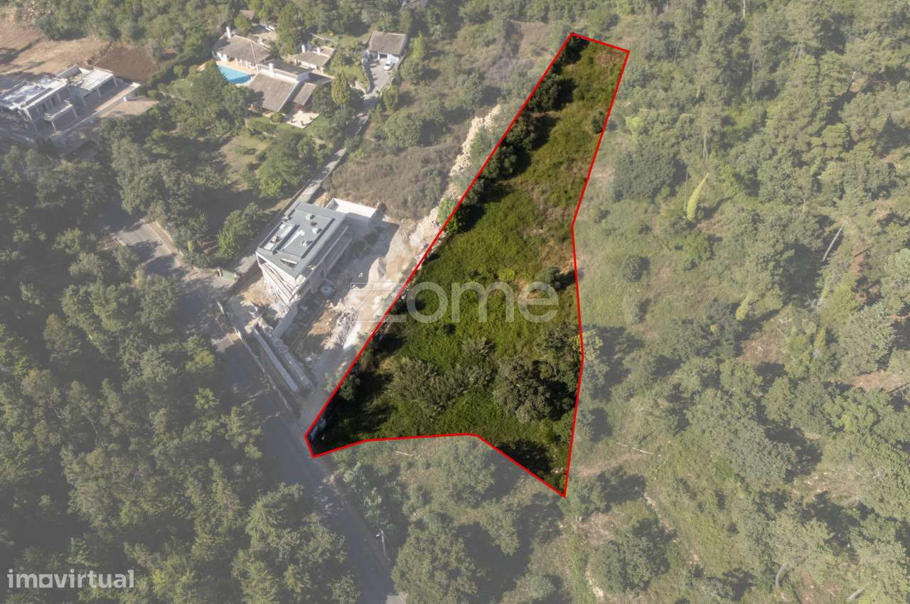 Terreno Urbano com 7.030 m² – Roçadas, Coimbra - Grande imagem: 3/21