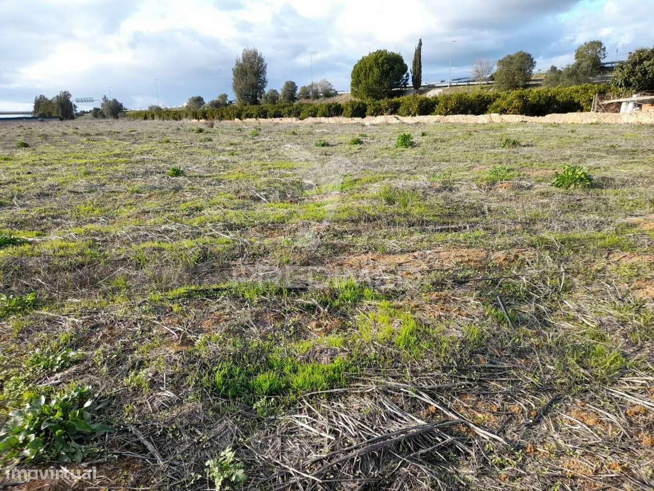 Arrendamento do terreno para agricultura Campinas - Grande imagem: 3/11