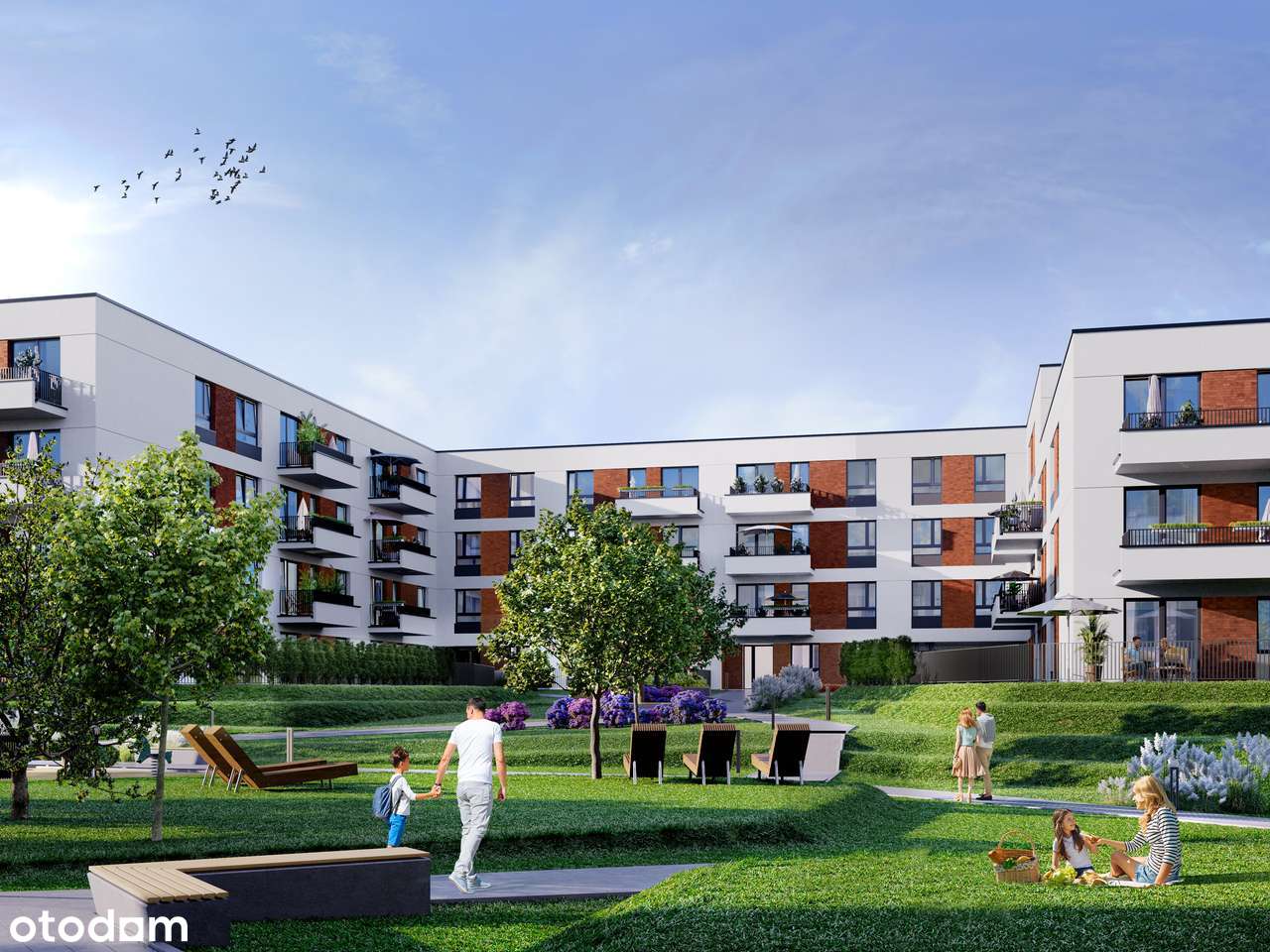 LOKALE HANDLOWE NA OSIEDLU IDEA - Pełny obrazek: 5/6