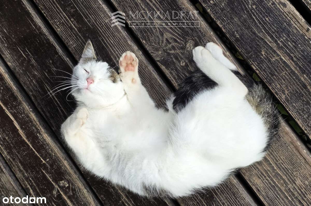 Kwintesencja Podlasia w otulinie Puszczy Knyszyn.-19