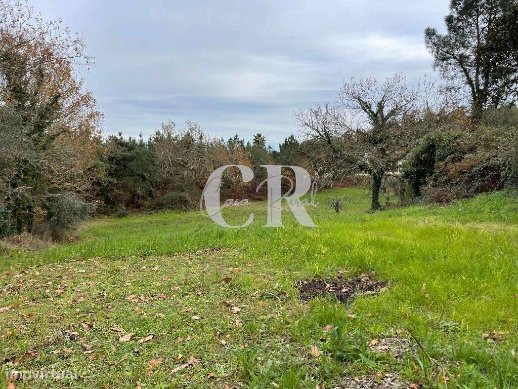 Terreno co  ruinas-6