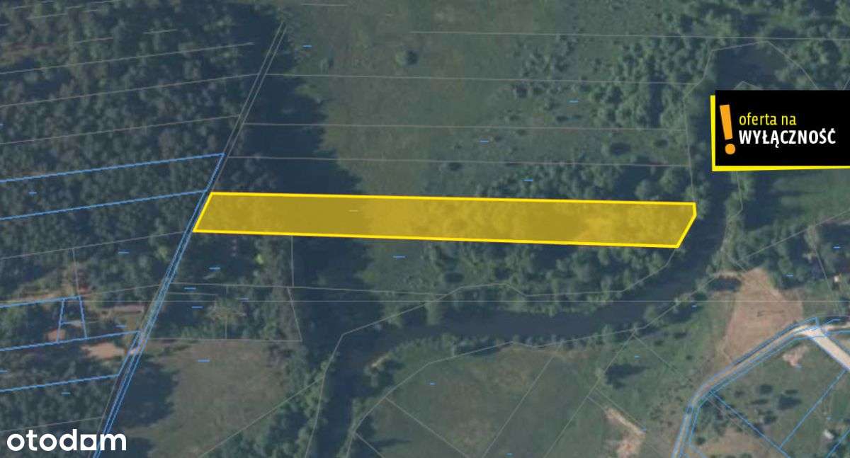 Działka leśna Suków Podmarzysz 5.600 mkw. - Pełny obrazek: 2/4