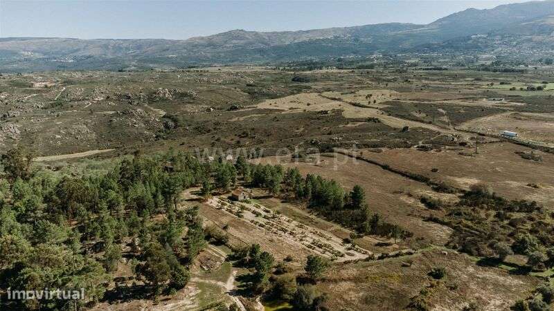Quintinha / Gouveia, Ribamondego - Grande imagem: 4/20