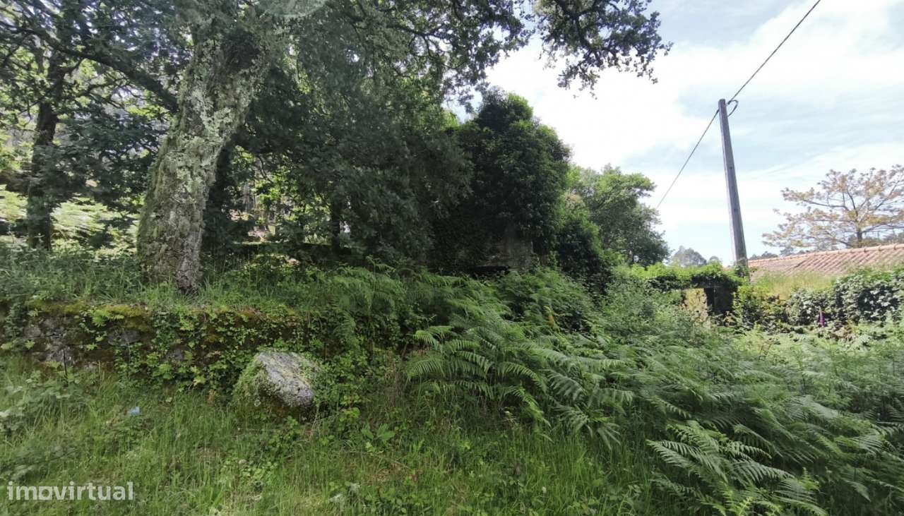 Venda de Quinta, Areosa, Viana do Castelo-22