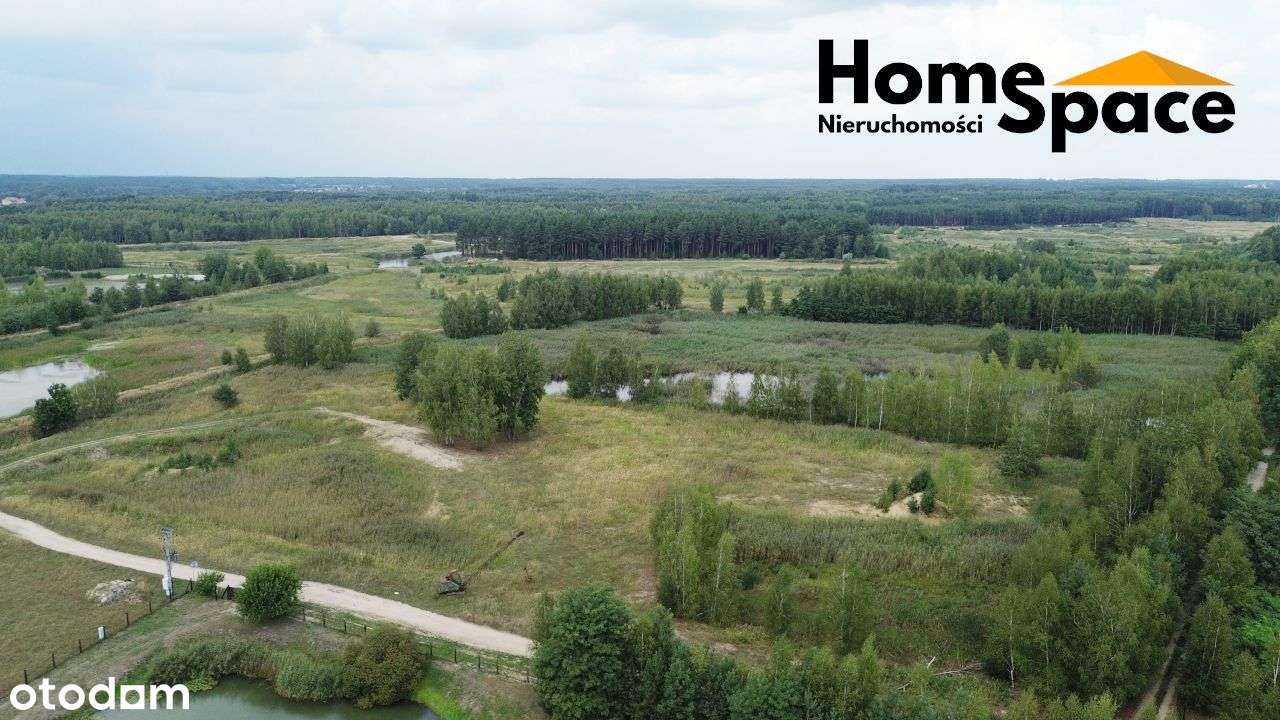 Działka na sprzedaż - 4,8 ha - Budy Głogowskie - Pełny obrazek: 4/11