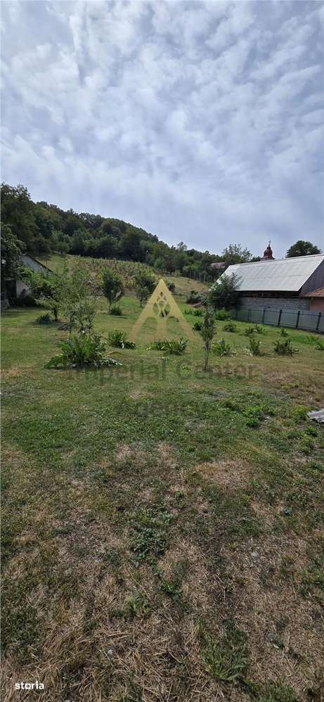Teren intravilan + extravilan 10.537 mp – casa, livada sau ferma de fa-12