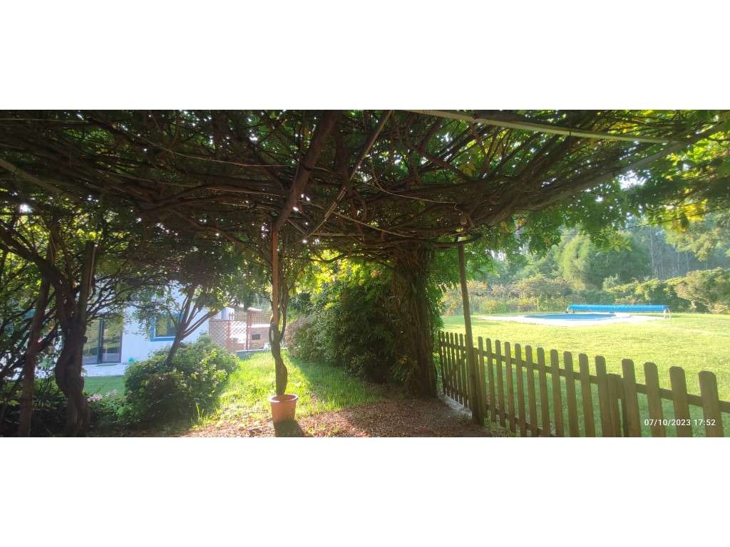 Quinta com duas moradias, anexos, diversas arvores de fruto, vinha ...-47