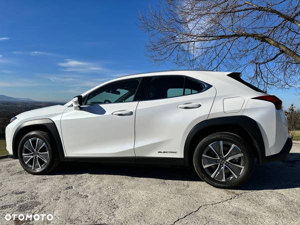 Lexus UX 300e 54.3 kWh Business Edition 2WD - 13