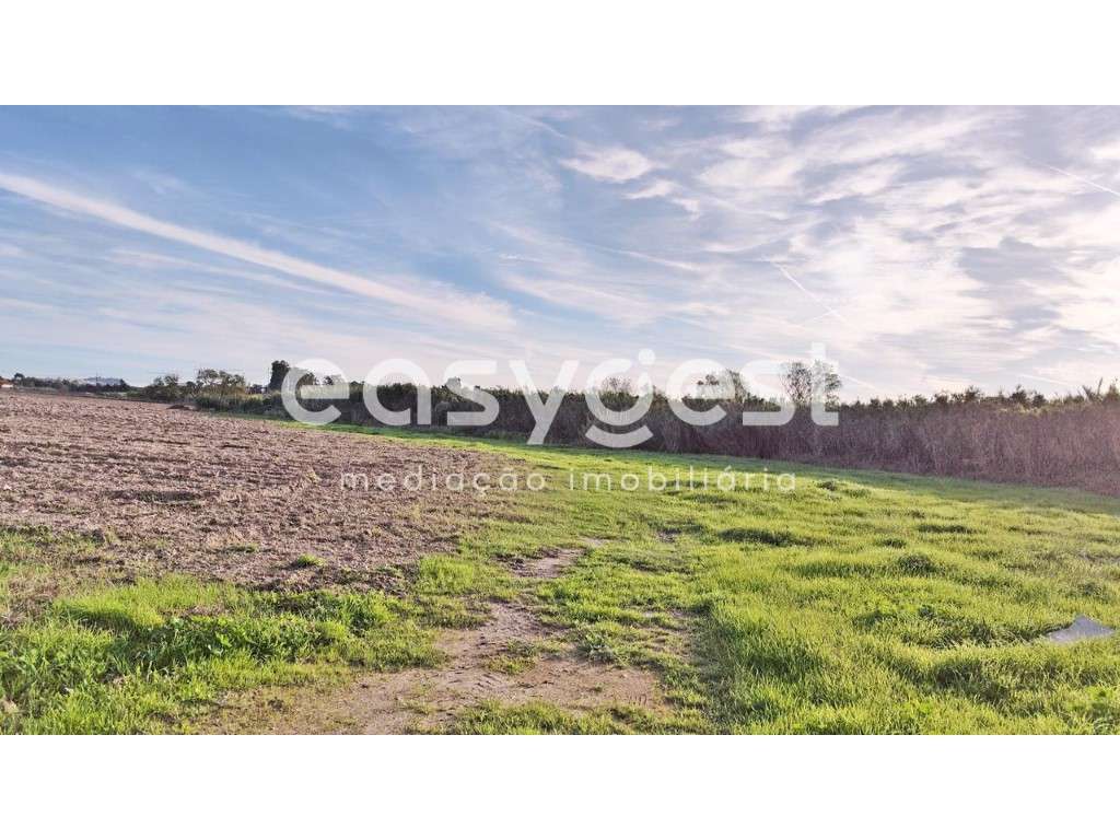 Terreno Rústico Localizado na Carregueira em Pinhal Novo - Grande imagem: 4/15