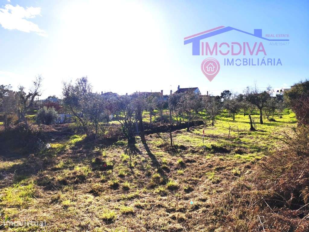 Casa de campo com terreno em Bairradas-22