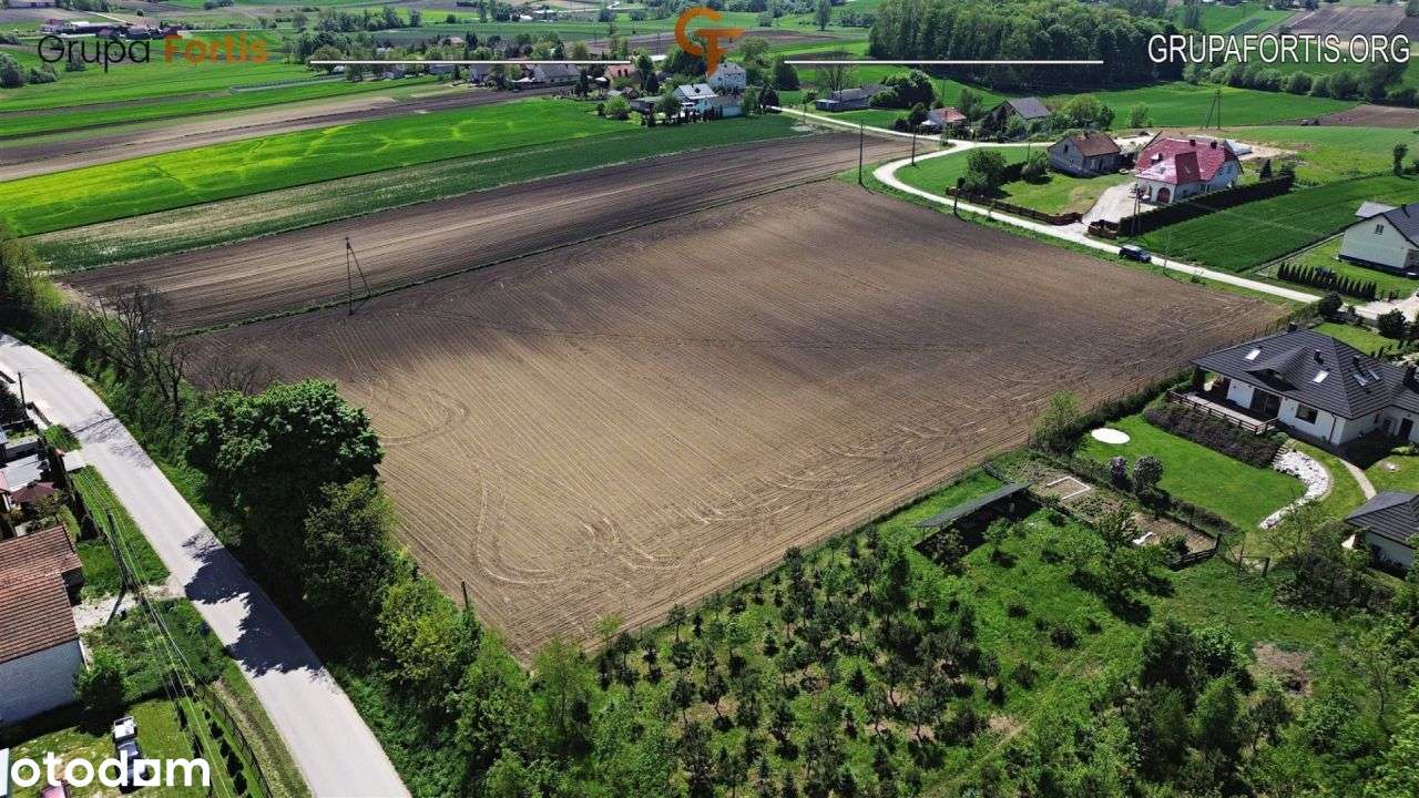 Działka z możliwością Wz 47ar w Słonowicach - Pełny obrazek: 4/5