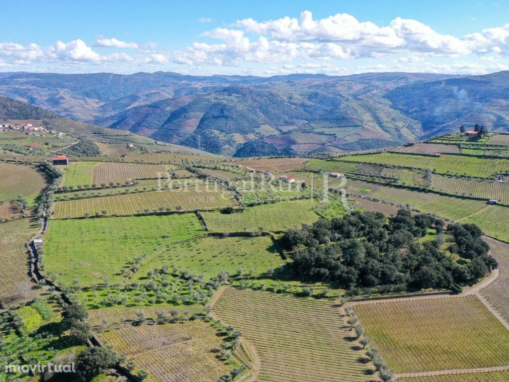 Quinta no Douro com 3 hectares e projeto para 12 casas de...