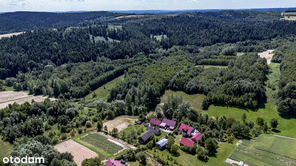 Hyżne – działka 49 arów, nowa cena - Pełny obrazek: 4/11