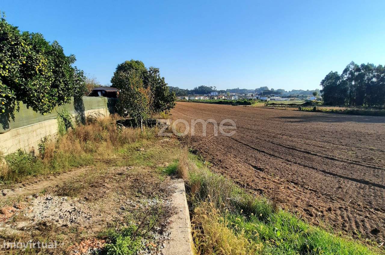 TERRENO PARA INVESTIMENTO - ALVARELHOS, TROFA - Grande imagem: 2/16