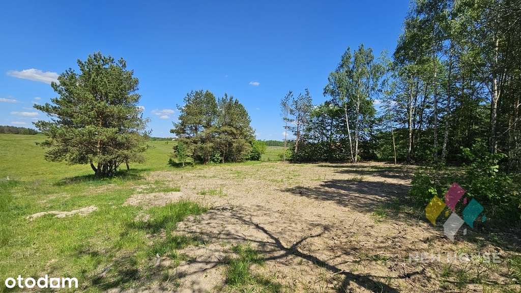 Działka częściowo zadrzewiona, możliwość zabudowy - Pełny obrazek: 4/10
