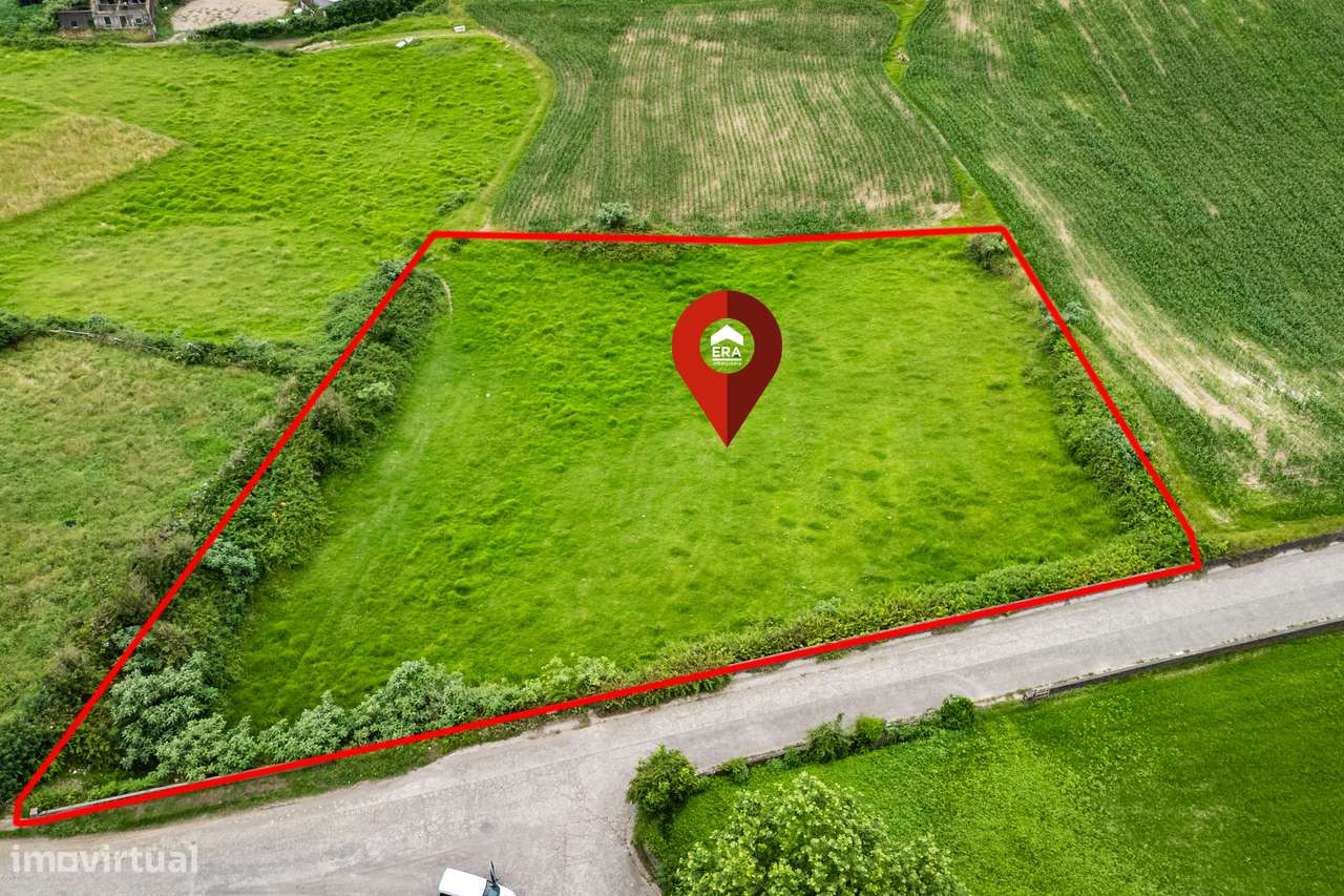 Terreno Rústico - Povoação - Grande imagem: 3/7