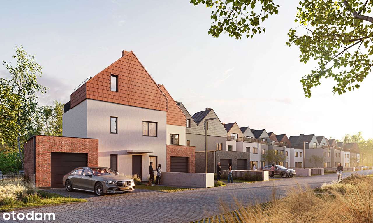 Vista Forest - Pełny obrazek: 5/7