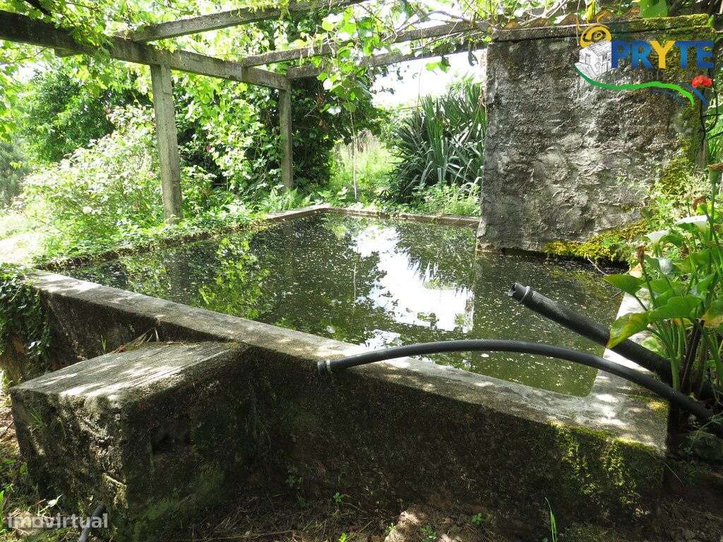 Quinta composta por moradia T4 situada perto de Cernache do Bonjardim - Grande imagem: 5/27