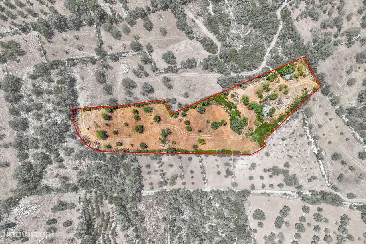 Terreno Rústico com 10280m2, localizado no Serro de Manuel Viegas, Azi - Grande imagem: 4/16