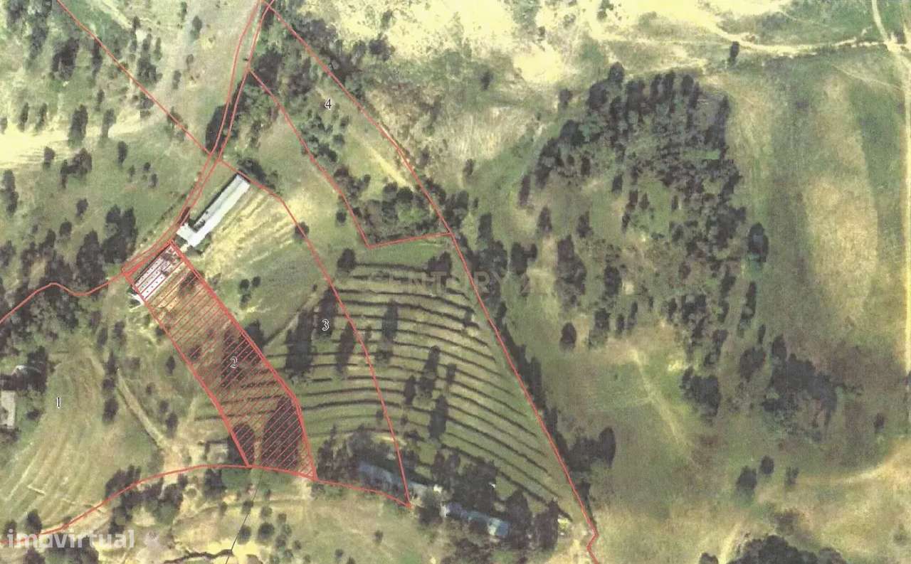 Azambuja | Terrenos vendidos em conjunto com 124.520m2 | Vistas sobre - Grande imagem: 2/10