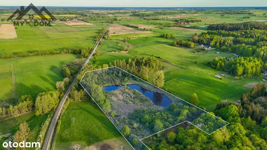 Działka 2.46h ze stawem w otoczeniu lasów i jezior-5