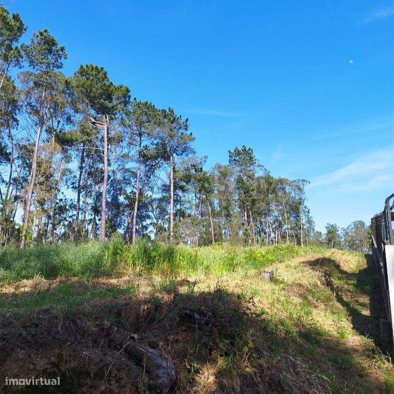 Terreno Rustico 6844 m2 para construção em Souto , Stª Maria da Feira - Grande imagem: 4/21