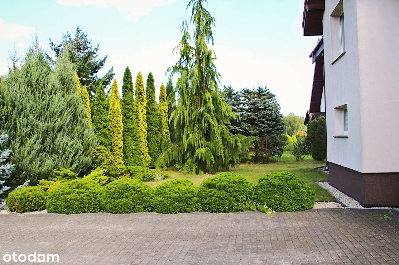 Dom, 165 m², Krosinko-8