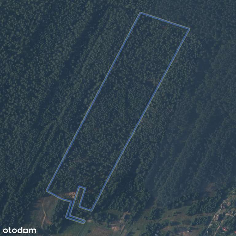 Grunt 6,59 ha z lasem | Rygol- pow. augustowski - Pełny obrazek: 4/5