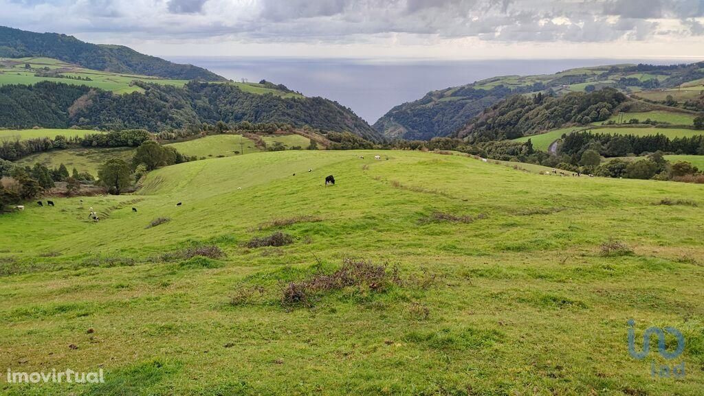 Terreno em Açores de 76632,00 m2