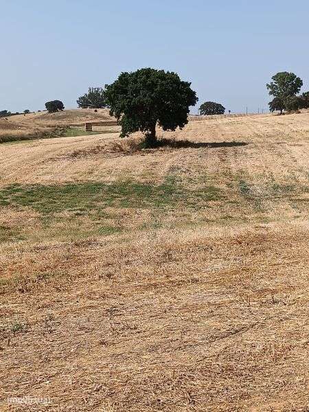 Herdade de 27 hectares - Grande imagem: 5/8
