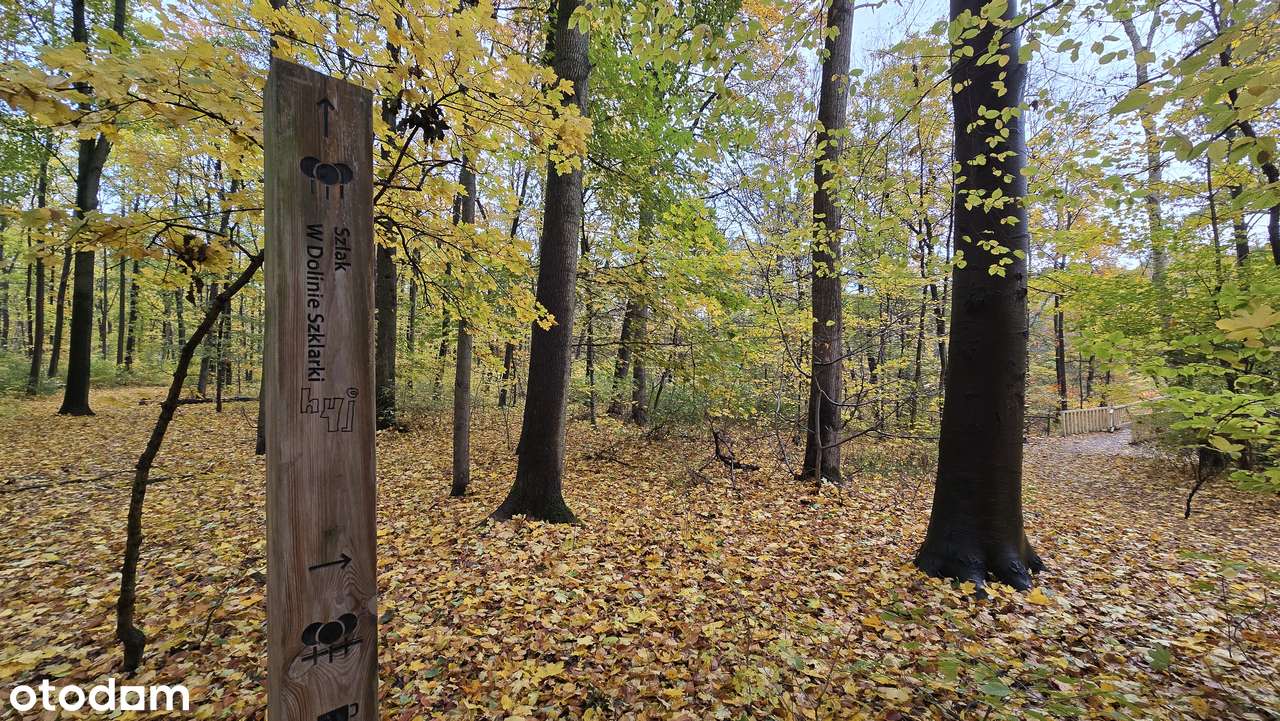 Kawalerka z aneksem sypialnianym i balkonem 35 m2 – przy Malcie-16