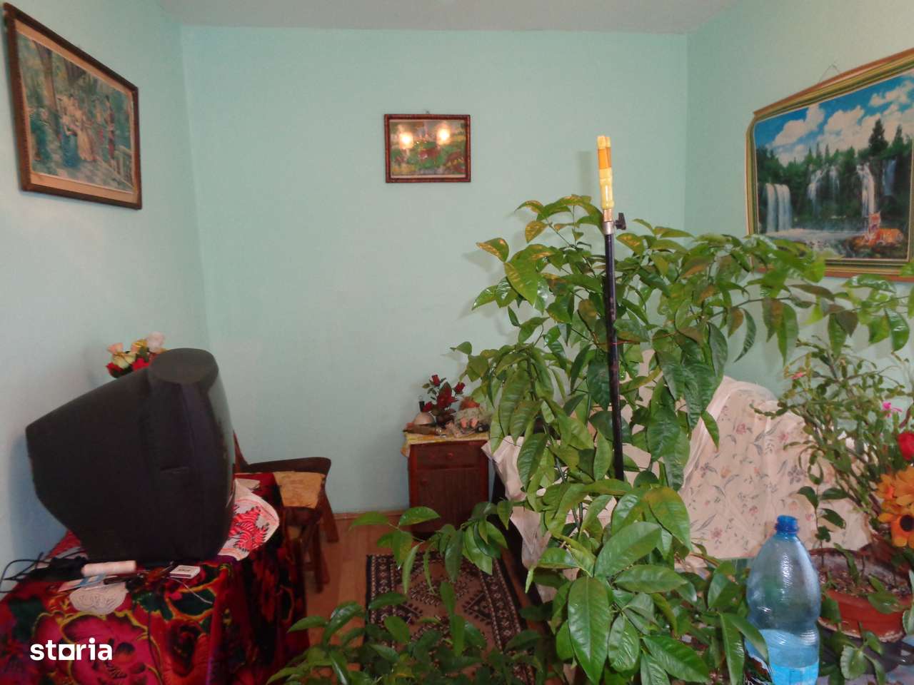 Apartament 2 camere etaj 1 VLAICU-FORTUNA PRET 50000 EURO-5