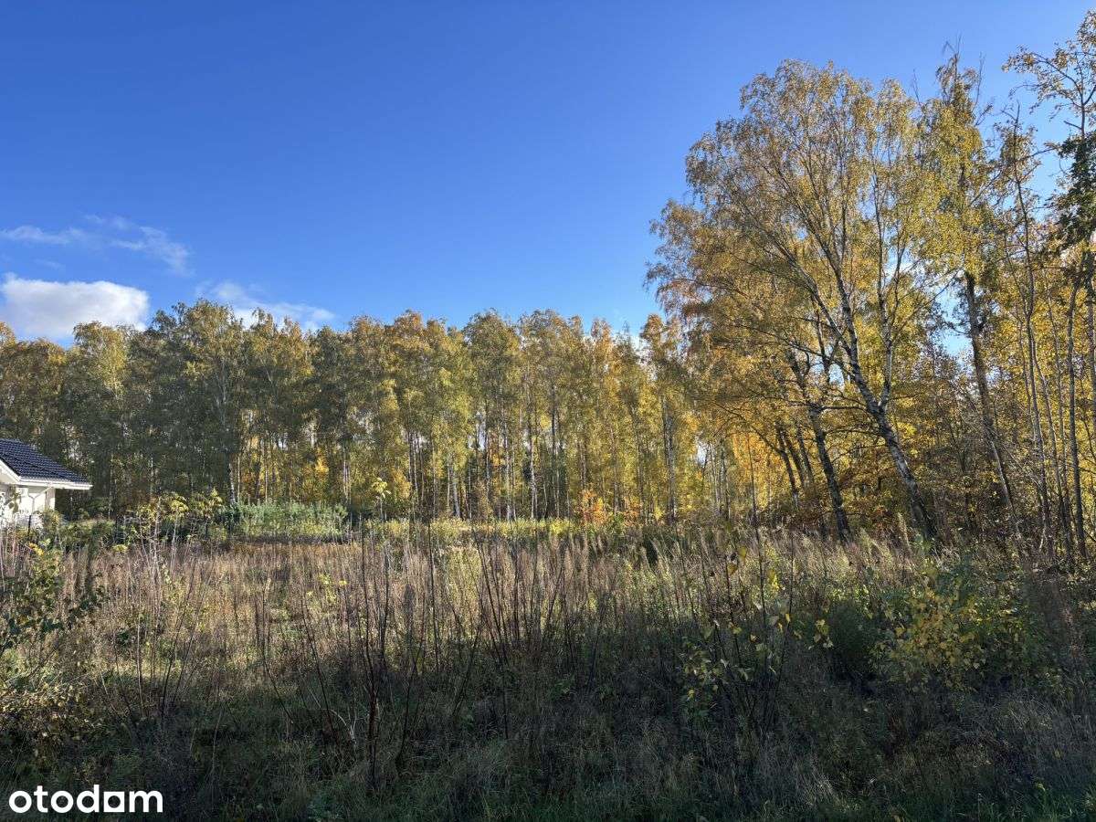 działki z wydanym w/z Płońsk, Młyńsk - Pełny obrazek: 5/12