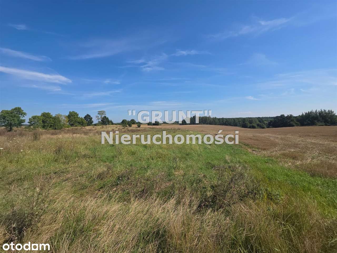 Działka z wydanymi warunkami zabudowy - Pełny obrazek: 4/11