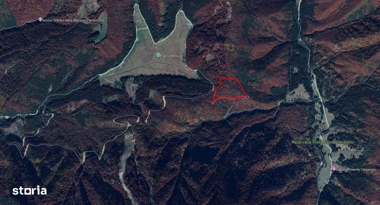 Teren de vânzare pe Transfăgărășan, zona Molivișu ( 69.450 mp ) - Imagine principală: 2/20