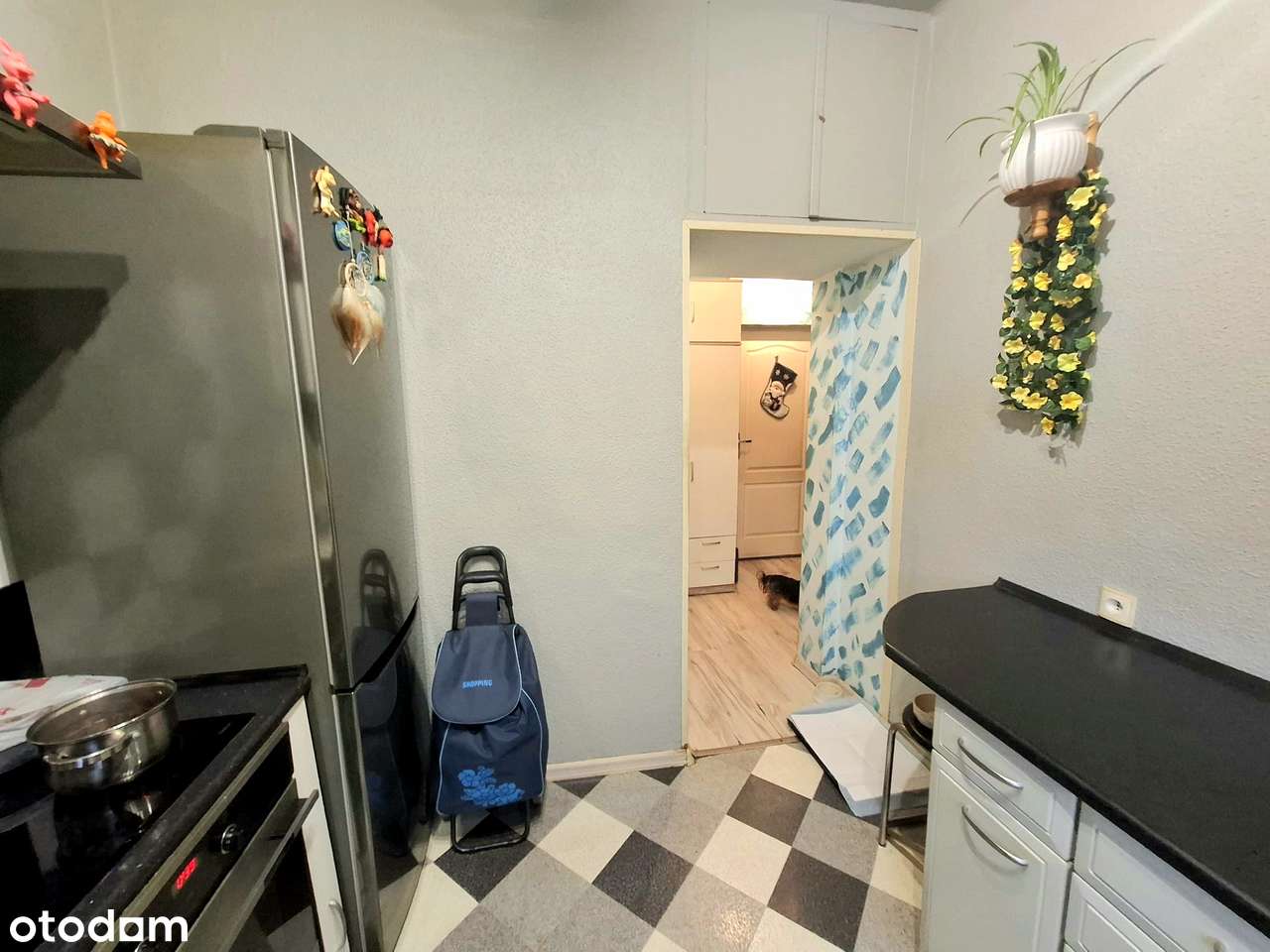 Gdańsk Wrzeszcz-1-pok ul. Manifestu Połanieckiego-3