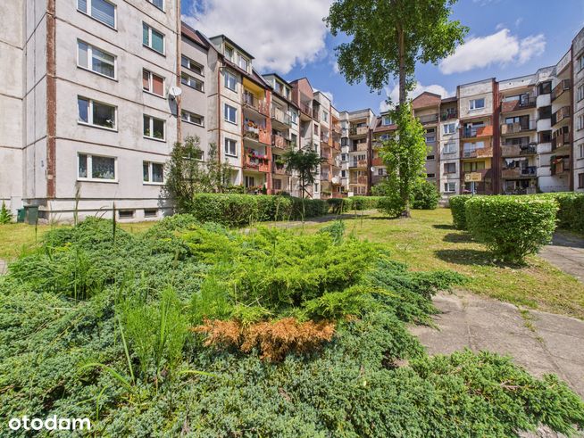 Sosnowiec Centrum Kilińskiego / Kiepury 3-Pok z Tarasem w Niskim Bloku-19