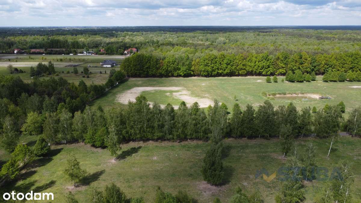 Duża Działka Budowlana Obok Lasu - Pełny obrazek: 4/16
