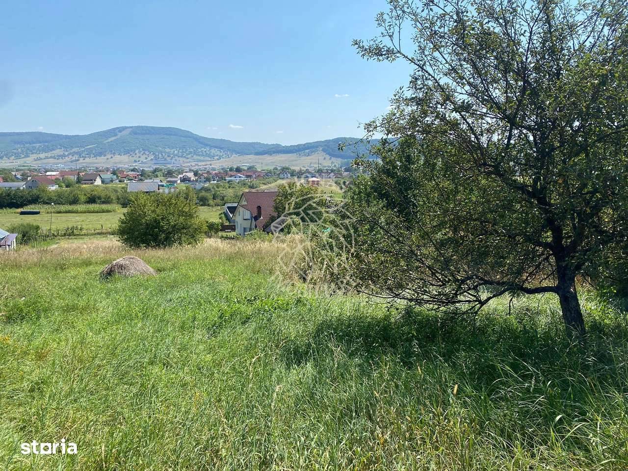 Teren intravilan 1300 mp-parcelabil-Viile cu Pomi-Unirea-Exclusiv - Imagine principală: 5/7