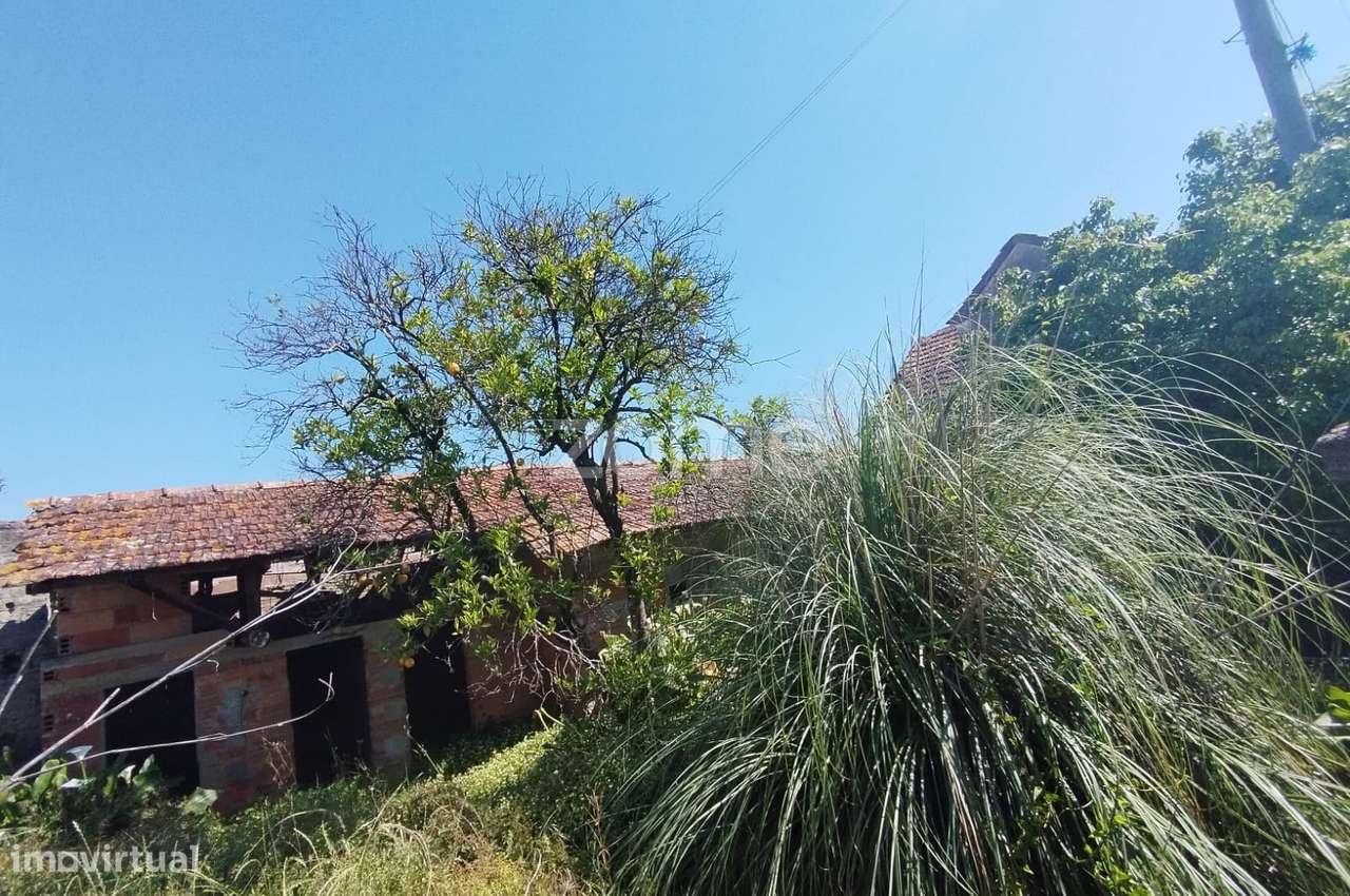 Moradia para recuperar na Rua do Cabeço, Fermentelos, Águeda - Grande imagem: 5/15
